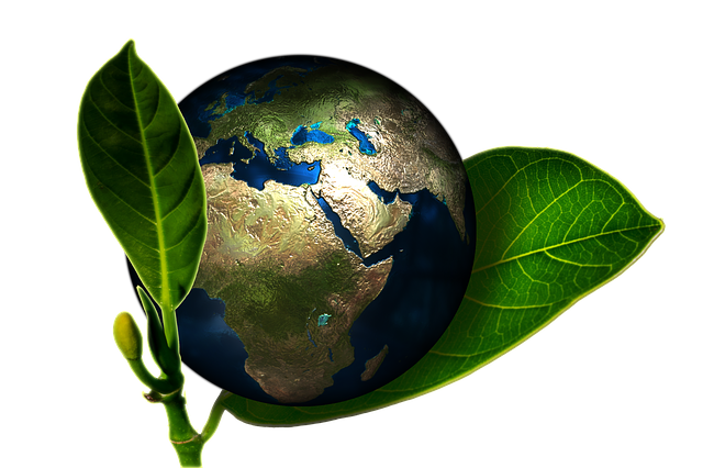Reasons Why You Should Check The Quality Of Air In Your Home
